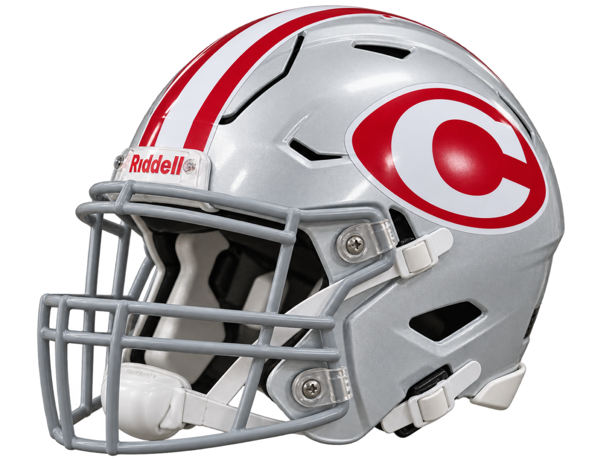 Alternate GRAY Facemask